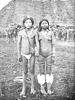 Wild Africa Black Angel