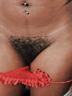 Nina - Ebony Gagging - Atk Exotic