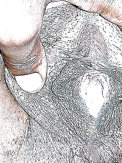 Big Ebony Mamas Black Bush